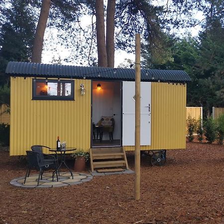 Forest Heath Shepherd'S Huts Ringwood Extérieur photo