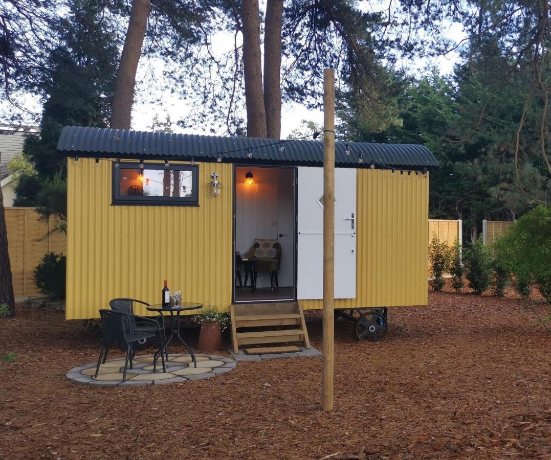 Forest Heath Shepherd'S Huts Ringwood Extérieur photo