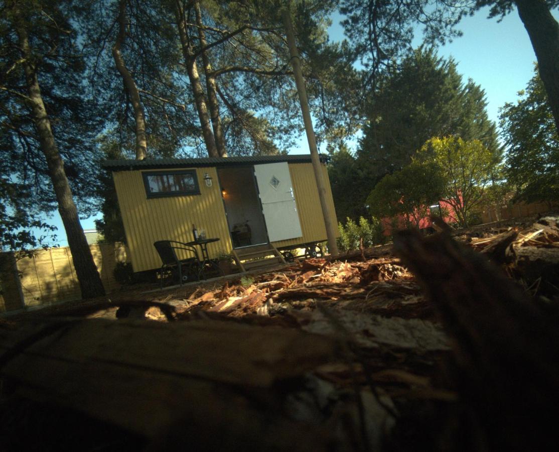 Forest Heath Shepherd'S Huts Ringwood Extérieur photo
