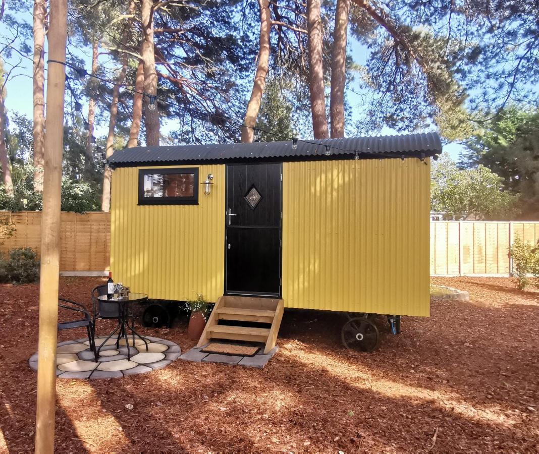 Forest Heath Shepherd'S Huts Ringwood Extérieur photo