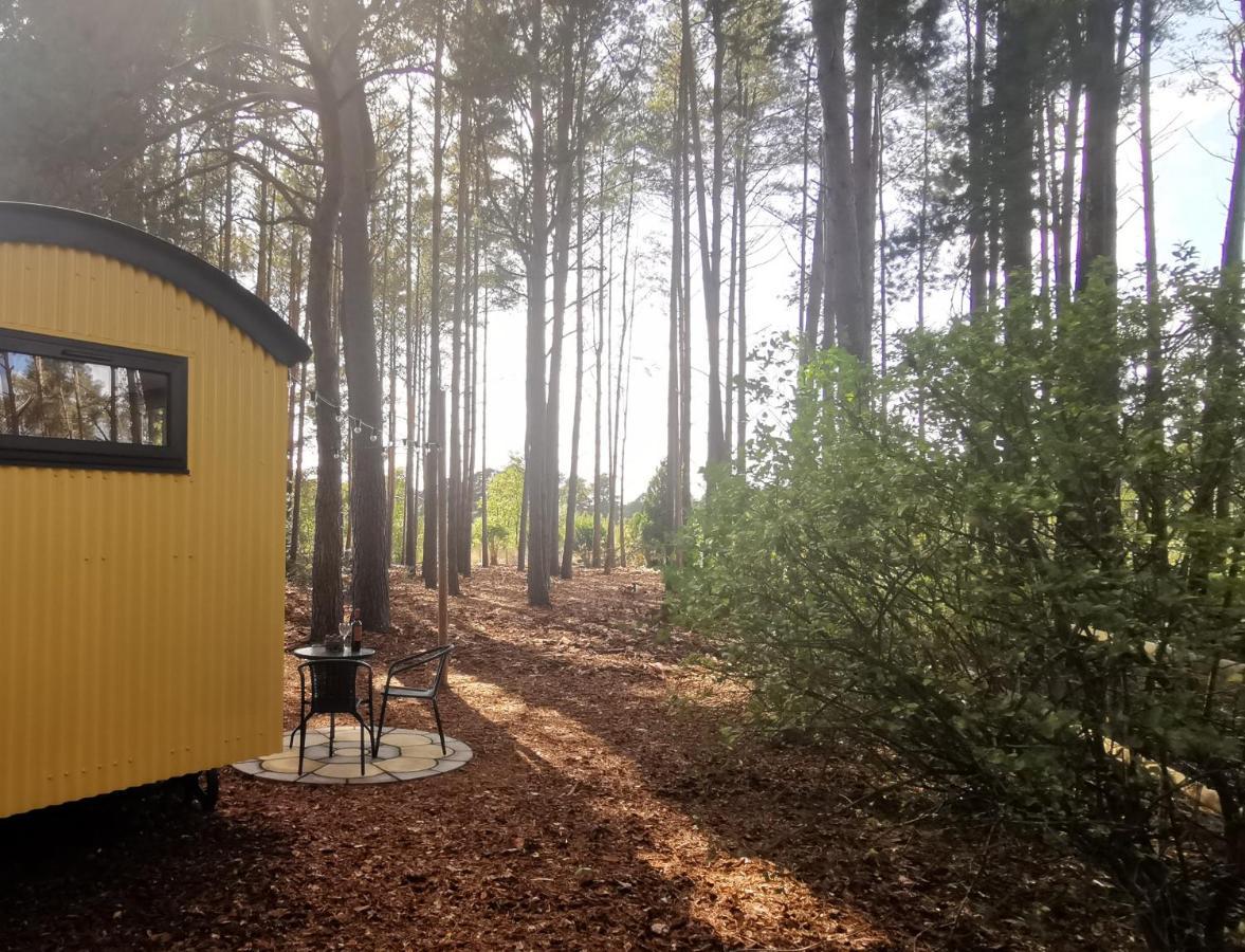 Forest Heath Shepherd'S Huts Ringwood Extérieur photo