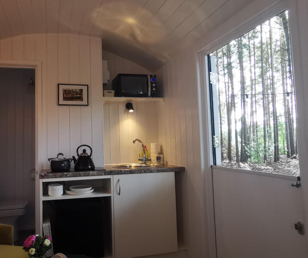 Forest Heath Shepherd'S Huts Ringwood Extérieur photo