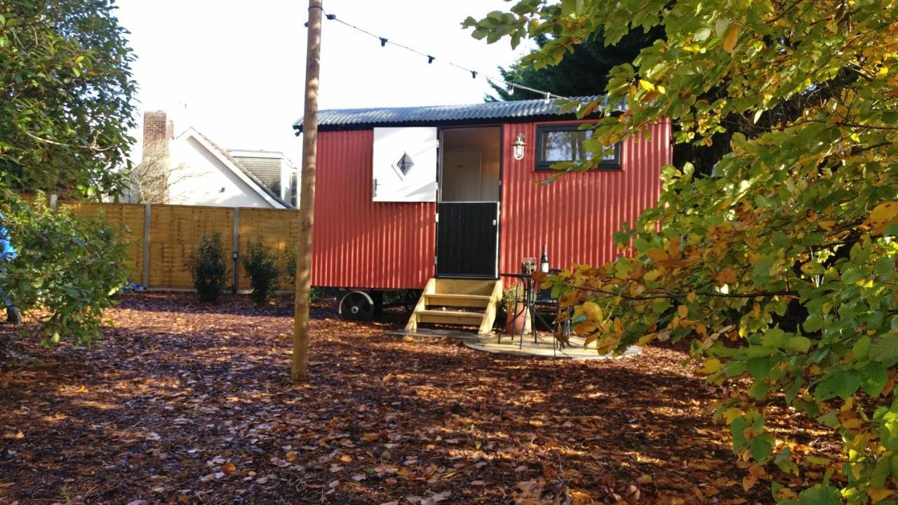 Forest Heath Shepherd'S Huts Ringwood Extérieur photo