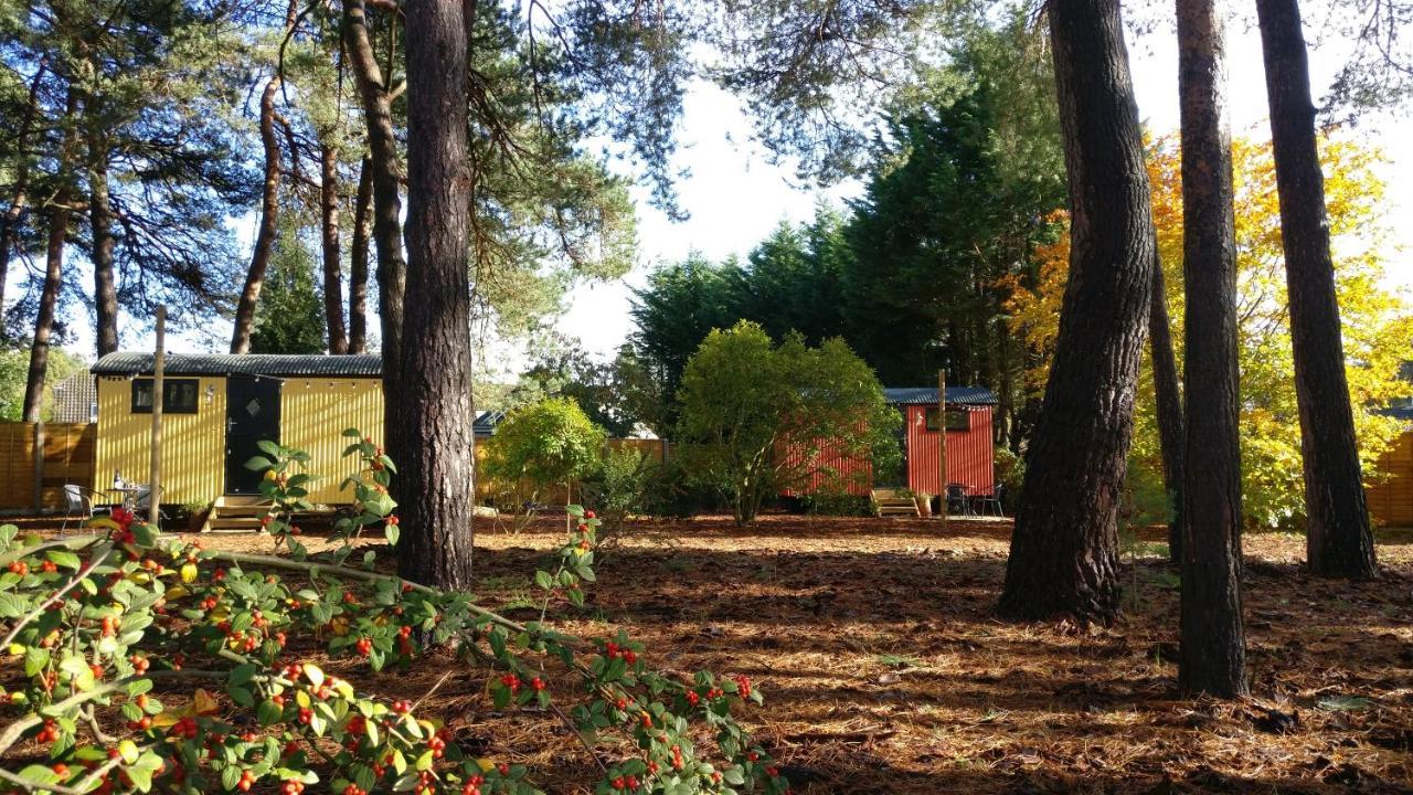 Forest Heath Shepherd'S Huts Ringwood Extérieur photo
