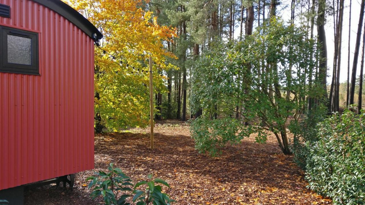 Forest Heath Shepherd'S Huts Ringwood Extérieur photo