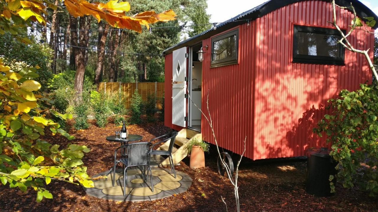 Forest Heath Shepherd'S Huts Ringwood Extérieur photo