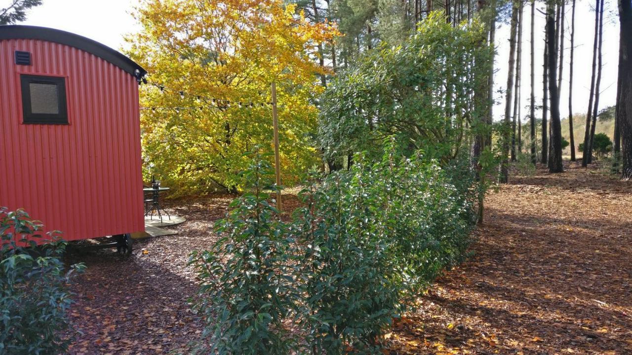 Forest Heath Shepherd'S Huts Ringwood Extérieur photo